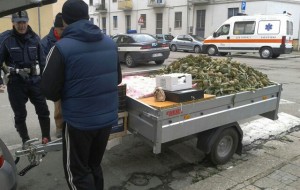 Multe fino a 300 euro per sette ambulanti irregolari