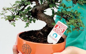 Solidarietà: torna l’iniziativa Bonsai Aid Aids