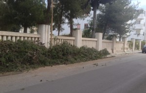 Ancora scarti di potatura al Quartiere Casale: marciapiede intransitabile su Via De Pinedo