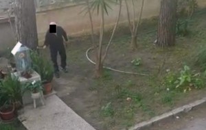 Bastonatore di gatti smascherato da un video e denunciato da Aidaa