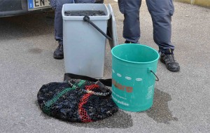 Sequestrati 30 Kg di cozze nere: erano su un’auto sequestrata e senza assicurazione