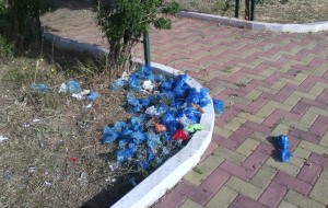 Il parco di cani e… porci: dietro un’aiuola oltre 60 sacchetti di “cacca di cane”