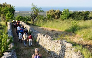 Millenari di Puglia: gli appuntamenti del prossimo weekend