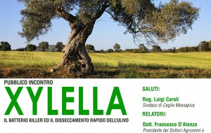 Xylella: sabato convegno dell’ordine degli agronomi