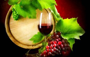 “Cultura e Qualità”, è la strada (del vino) da seguire. Di Alessandro Valentini