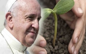 Pedofilia: le parole di Francesco interpellano anche le chiese di Brindisi