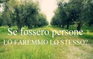 “Se fossero persone, lo faremmo lo stesso?”: un appassionato cortometraggio contro l’abbattimento selvaggio degli ulivi