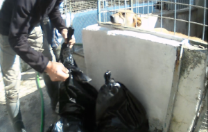 Operazione #dirty dump: 12 avvisi di garanzia per smaltimento illegittimo di rifiuti speciali. Nei guai Mazzarella, Lacinio e Screti