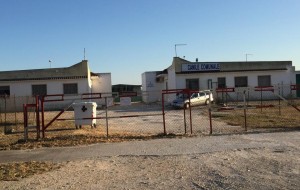 Finanziamento di 98mila euro per il canile di Brindisi