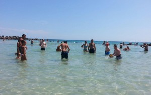 La cooperativa sociale Alba Onlus ringrazia Torre Guaceto per il Luglio Azzurro
