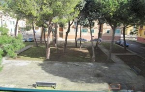 Vegetazione troppo pericolosa: nasce comitato spontaneo Piazza Colletta