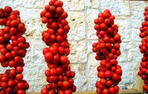Domenica 26 un laboratorio per imparare ad intrecciare le tipiche “ramasole”
