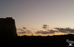 Millenari di Puglia: il programma delle escursioni dal 23 al 27 Luglio