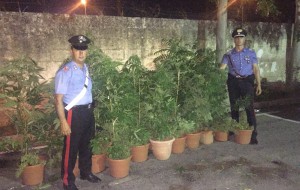 Coltiva marijuana in casa: nei guai 25enne di Torre