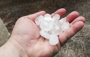 Violenta grandinata mette in ginocchio l’agricoltura del nord Brindisino