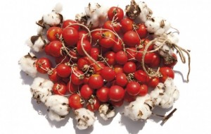 Ostuni da gustare: continua la festa del cibo buono, giusto e pulito