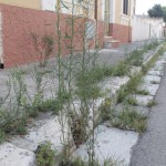 casale marco nocera (10)