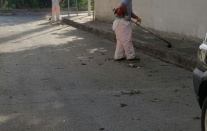Pronto il programma di disinfestazione e derattizzazione di asili e scuole materne ed elementari