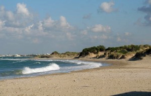 Operazione Dune Pulite: giovedì 13 pulizia delle dune tra Torre San Gennaro e Lido Presepe