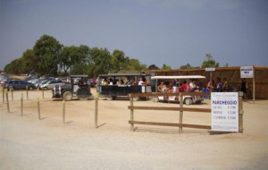 Rapina al parcheggio di Torre Guaceto