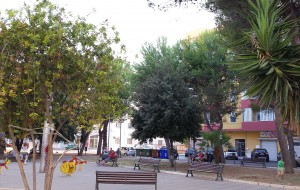 Verde pubblico: rimesse a nuovo Piazza Sapri e Piazza Curtatone