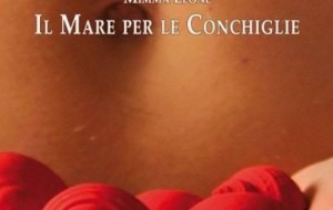 Stelle al museo: domani si presenta il libro “Il Mare per le conchiglie”