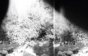 Godspeed You! Black Emperor – Asunder, Sweet And Other Distress