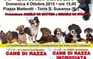 Domenica una giornata per gli Amici a 4 zampe a Torre Santa Susanna