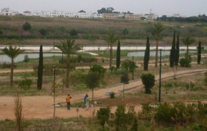 Il Parco Cillarese riapre ma solo per soggetti affetti da autismo