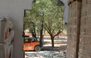 La Polizia sventa ingente furto con spaccata: denunciato pregiudicato barese
