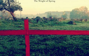 The White Birch – The Weight Of Spring