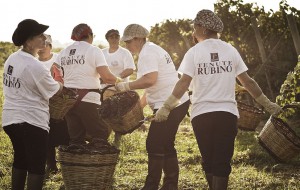 Brindisi e il Vino: uno risorsa spendibile e nuovi scenari della città
