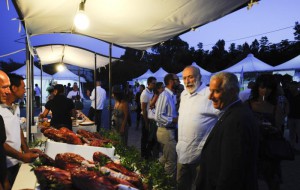 Agricoltori e pescatori del Salento protagonisti di un progetto finanziato dalla Fondazione con il Sud
