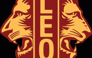 Domani la raccolta alimentare organizzata dal leo Club Mesagne