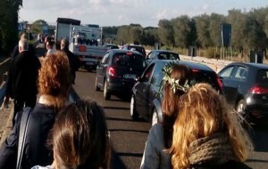 Xylella: manifestanti bloccano superstrada. Intanto il Tar sospende l’eradicazione