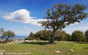 Museo e Parco Archeologico di Ostuni: concerti, guide gratuite e aperture straordinarie per le festività pasquali