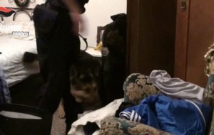 Rapina, droga e armi: 15 arresti tra Brindisi e Bologna. Il video.
