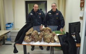 Spacca 15 rocce per estrarre datteri di mare: denunciato pescatore di frodo