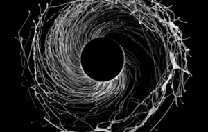 Dawn of Midi – Dysnomia