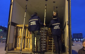 Sequestrate 6 tonnellate di cetrioli di mare