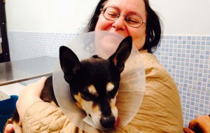 Sulla sedia a rotelle, senza gamba e con un tumore pensa a come curare il suo cane