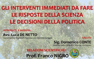 Xylella: se ne discute a San Vito con Nigro, Romano, Casili e Congedo