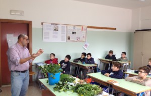 Un Orto scolastico nella scuola Salvemini