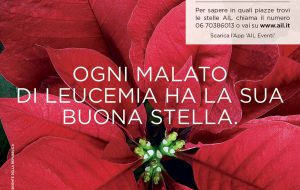Tornano le Stelle di Natale di BrinAil