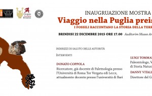 Al Mapri la mostra “Viaggio nella Puglia Preistorica: i fossili raccontano la storia della Terra”