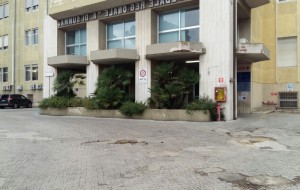 Tutte le attività del Centro Autismo Territoriale (CAT) della ASL BR