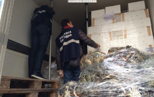 Operazione Tallone d’Achille: la Guardia Costiera sequestra una tonnellata di prodotti ittici; pesanti sanzioni