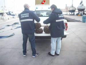capitaneria tallone achille (4)