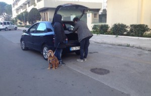 Mano dura contro i padroni dei cani: sette multe in poche ore per mancata raccolta delle deizioni