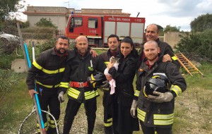 Gatto cade nel depuratore e resiste cinque giorni, lo salvano i vigili del Fuoco: guarda il video